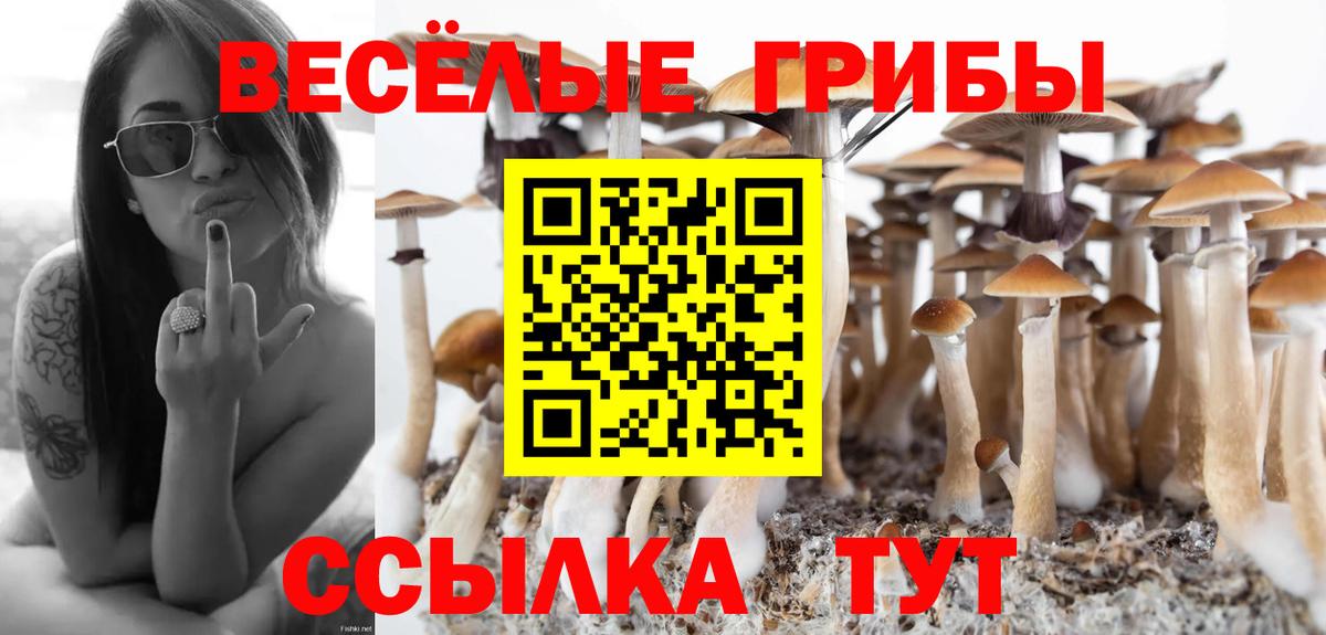 Галлюциногенные грибы MAGIC MUSHROOMS  Вход с VPN  Зима 